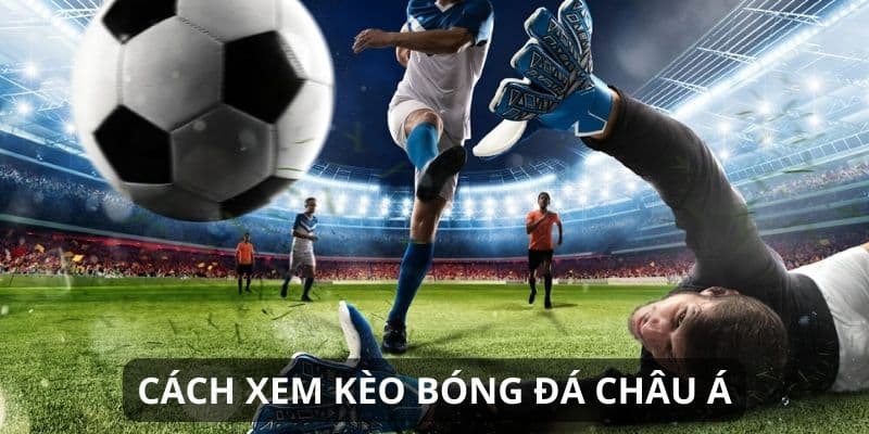 Kèo chấp nửa châu Á